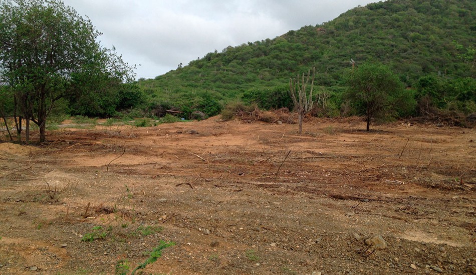 Jeremi Ocean Resort's Land