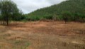 Jeremi Ocean Resort's Land