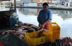Click to enlarge Curaçao's Culture & Folklore - Fish Market