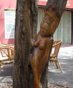 Click to enlarge Curaçao's Culture & Folklore - Tradicional Tree Art